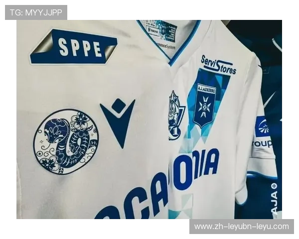 法甲球衣印中文名字的背后文化与商业价值