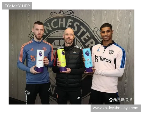 英超的冰岛球员在联赛中的表现及意义探讨